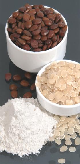 صمغ الخروب او الخرنوب.